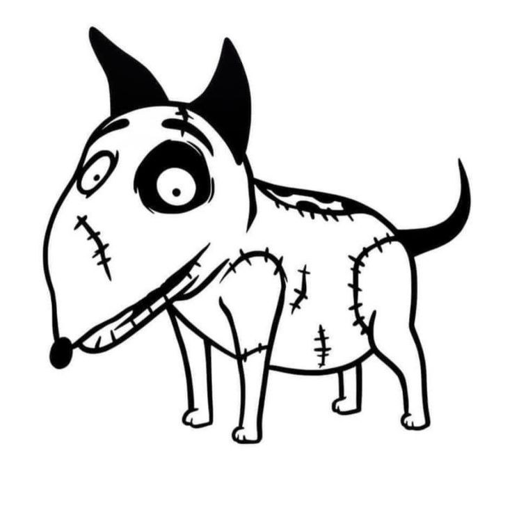 Cachorro Frank